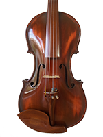 Violina 4 Trbuh